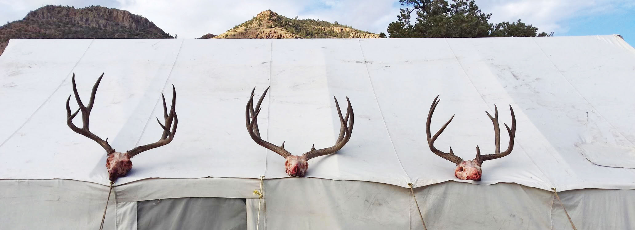 Utah Mule Deer Hunting