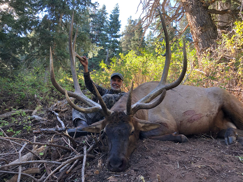 Utah Elk Hunting